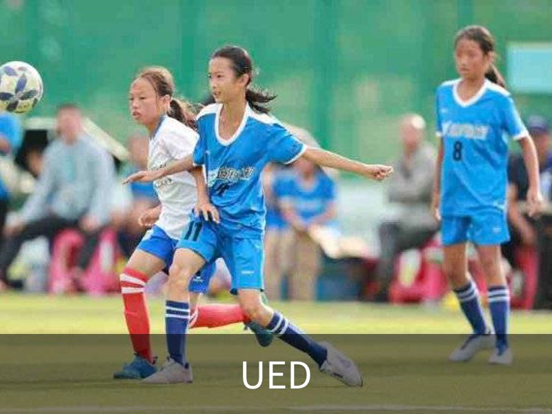 UED简介